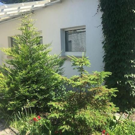 Kleines Haeuschen Am Garten In 다름슈타트 외부 사진